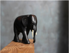Significance of Elephant Figurines in Vastu & Geng Shui and Tips to Place Them
