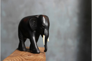 Significance of Elephant Figurines in Vastu & Geng Shui and Tips to Place Them